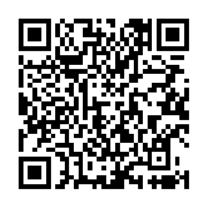 知道这时候的她光靠着自己那半吊子符篆是对付不了的二维码生成