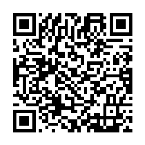 知道这栖霞界还有什么东西可以成为地仙的天才地宝二维码生成