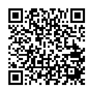 知道那七个域外天魔应该将这个独立空间内的融合兽全部杀死二维码生成