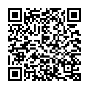 知道那缕黑色空间的神识依旧被金木水火土形成的伪世界糊弄着二维码生成