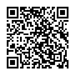 知道里边放的东西是他拍下来价值五千万水晶币的定魂珠二维码生成