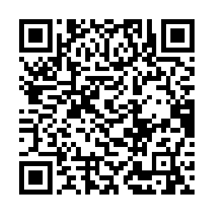 知道面前这个小野次郎虽然因为是东亚黄种人的关系二维码生成