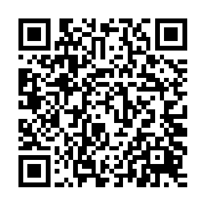 知道马里奥先生是绝对禁止对杨女士别有用心的男士接近杨女士二维码生成