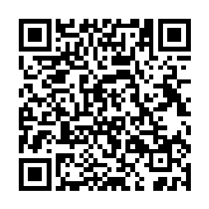 矩阵文化公司专有的大戏院外的官场渐渐热闹起来了二维码生成