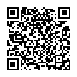 矫健的身形疾如闪电般凶狠的扑向杀来的黑衣杀手二维码生成