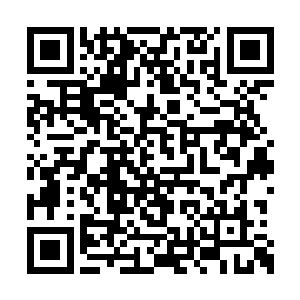 短信里对于强逸飞的弱点和野心知道的太清楚了二维码生成