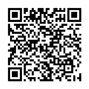 短寸男见到自己的这么多手下出手还没有把秦洛给放倒二维码生成