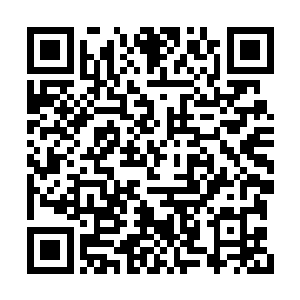 短时间之内作战能力反而要比之前还要低落一些二维码生成