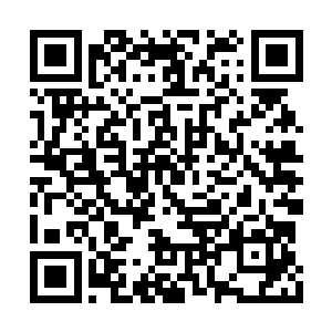 短短一两秒的时间我已是下定决心要收这妖道了二维码生成