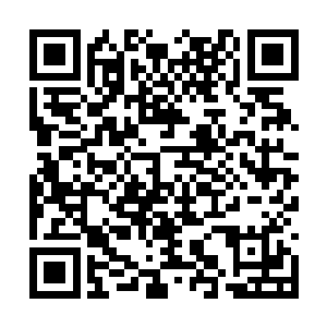 短短两万来年那人的修为便达到了化莲中上的水品二维码生成