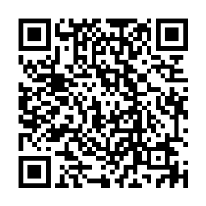 短短两个呼吸不到的时间内就变成了浓郁的乳白色光芒二维码生成