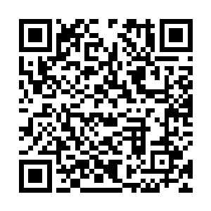 短短几年前还在一块大陆上为了封建王权打得头破血流二维码生成