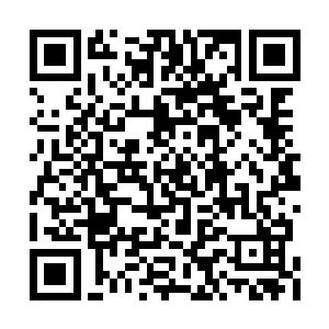 矮个的人揩揩被冻的麻木的鼻子更加凑近了火堆二维码生成