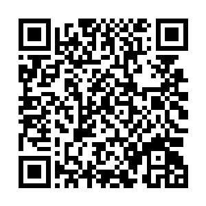 矮人比克用着一把锤子朝着一块斑斓神铁上面快速的打去二维码生成