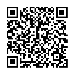 石墙外汹涌的梁山兵卒举着一架架就地伐木制成的简陋梯子二维码生成