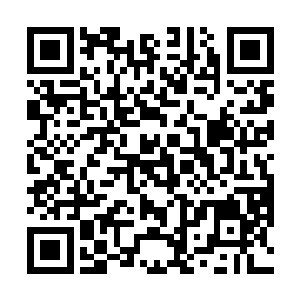 石头带着圆圆等三个机器人悄悄潜入了关押人类的地方二维码生成
