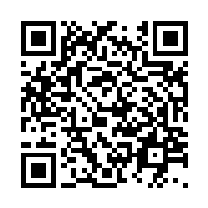 石奴便直接飞到了这血管脉络的旁边二维码生成