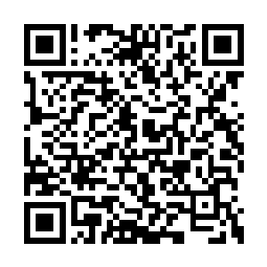 石成玉和石芸祖孙俩的脸色一听到帝王绿的时候二维码生成