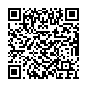 石柱上恐怖的力量几乎是瞬间就撕裂了整座山峰二维码生成