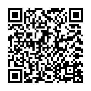 石棺里还有我从宇宙监狱第十六重天里带出来的那个特殊生命二维码生成