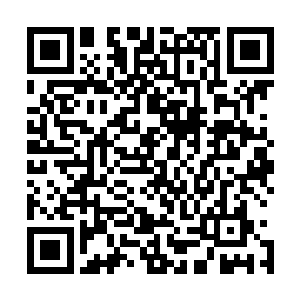 石殿门口的宝镜和云峥早躲到了更高的地方――白鹰的巢穴二维码生成