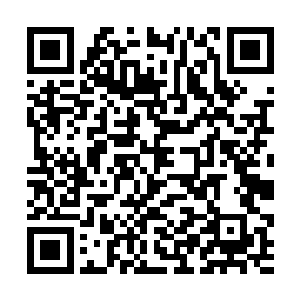 石田带着心属蛇派原掌门楚天成的蛇派弟子为主力军二维码生成