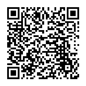 石矶娘娘三尸化身那尚未完全成型的身躯也如同高温下的钢铁一样二维码生成