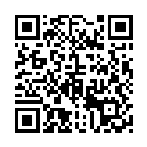 石秀才望着地面上从横交错的树根二维码生成