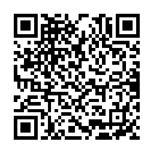 石髯把曾毅一行给领到了南阳府知府衙门的公堂上二维码生成