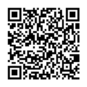 研究生在法国读的巴黎第一大学企业管理经济学专业二维码生成