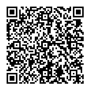 研究着该如何将这一颗内丹从黑水玄蛇的身体上完好无损的取下来……至于那些时不时凝聚起来的罡气护罩二维码生成