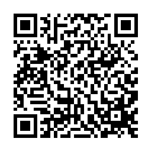 砗硿便忽然察觉到一股强大的气息在那人族七品消失之地复苏二维码生成