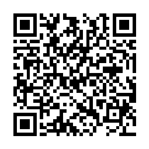 破天惊仙拳是化云宗核心弟子基本都会修炼的绝技二维码生成