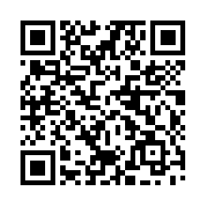 破开了那些代表着天地法理规则的花瓣二维码生成