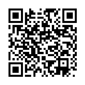 破茧而出的鹏王法相一旦从神庙金子塔飞出二维码生成