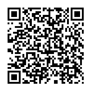 破釜沉舟式的哀兵突袭在第一时间给了战场内围二十万伪军以巨大的压力二维码生成