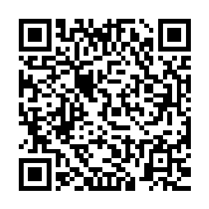 砸了五百多个球……还是没砸中……还……还盯着不让我走……二维码生成