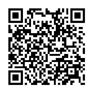 硅基生命并不需要摄取有机物来作为行动的能源二维码生成