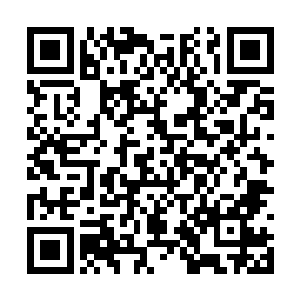 硕大的三瓣菱形彩花被无数发丝粗的灵力妖力缠绕二维码生成