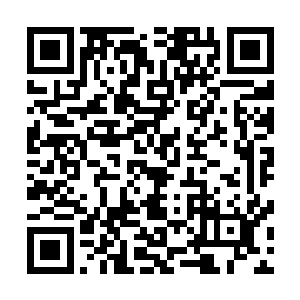 硕果仅存的圣女和未来的新圣主还是他们远赴魔疆带回来的二维码生成