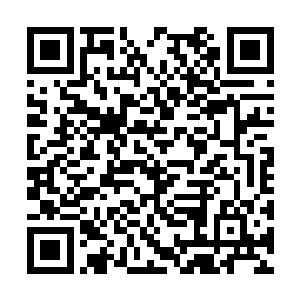 硬拼修为人家只怕是一枪就能将你的武器给挑飞了二维码生成