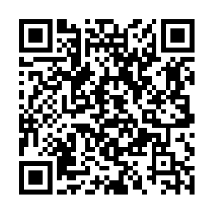 硬是将贝家的家主贝明轩的脸抽的连话都说不出来了二维码生成