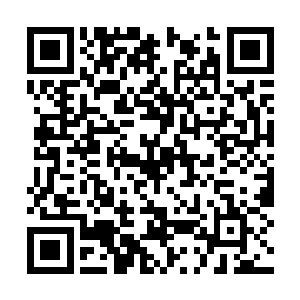 硬是把一辆沙色的突击车给伪装成了破旧的农用车二维码生成