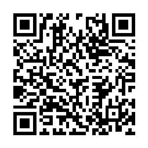 硬是被小龙给崩断了……一部分被小龙丢给了秦方二维码生成