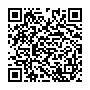 硬是被某个不负责任的家伙丢上国家和民族的重任二维码生成