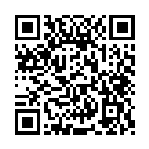 硬是让第三派系的王级骇客找不到一点破绽二维码生成