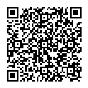 硬生生在黄金大鹫的胸甲上划出一道触目惊心的伤口即便在地面上无足轻重的小伤二维码生成