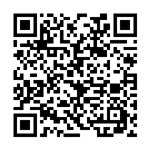 硬生生地将这些气道道痕又逼回到了气功果核当中二维码生成