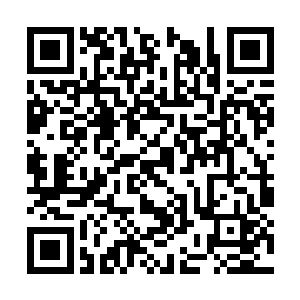 硬生生炸碎了那些缠绕在他残缺左臂上的触手之时二维码生成