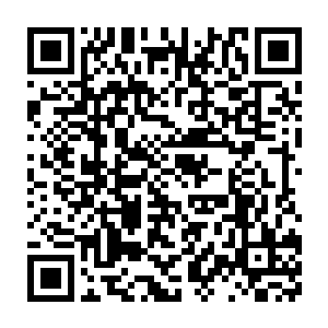 硬生生的将他从地面上拖了起来……也有着宗师级层次修为的杨九二维码生成